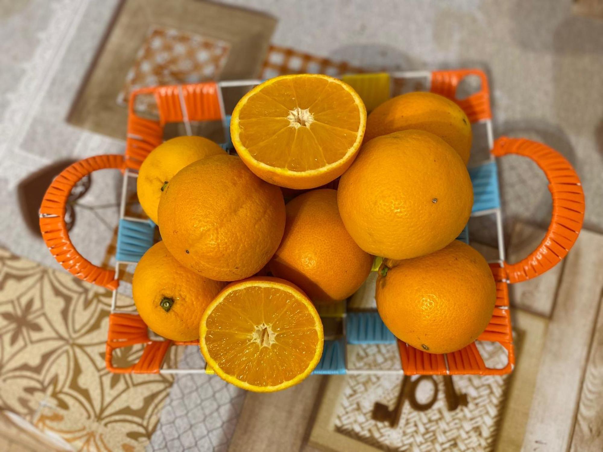 I Feel Orange Hotel Леняно Екстериор снимка